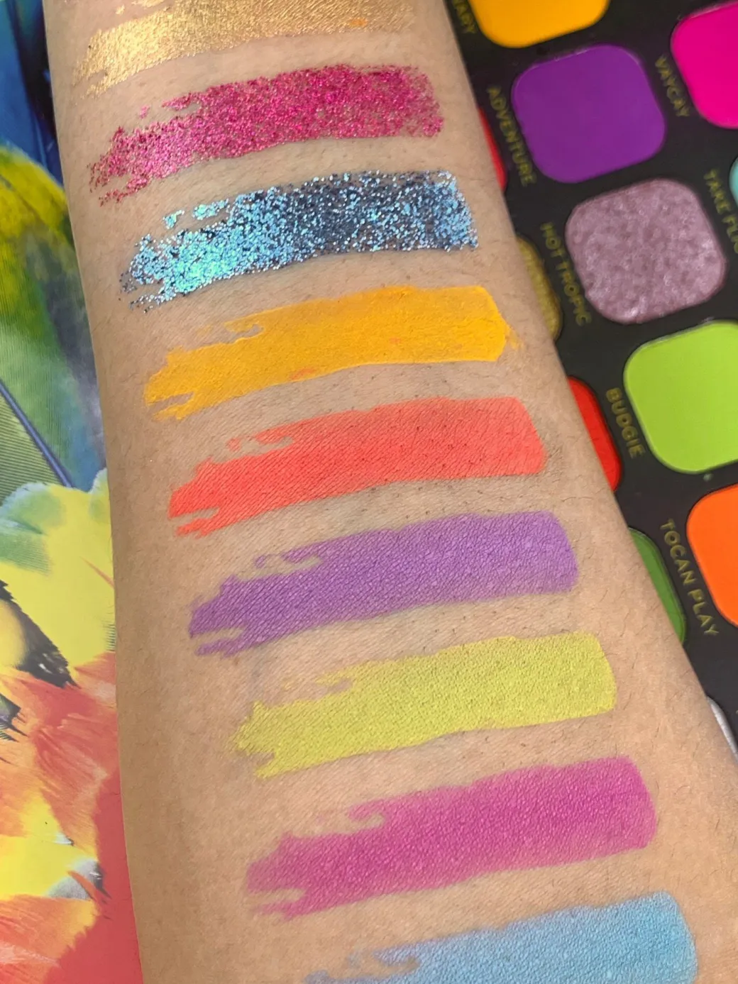 Makeup Revolution Forever Flawless Bird of Paradise Shadow Palette